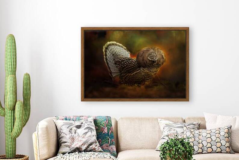 Ruffed Up by Michel Soucy