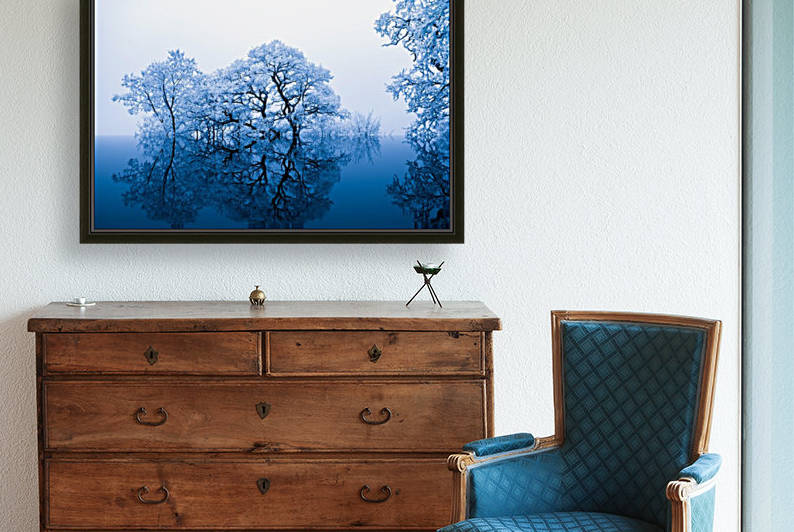 nature by Stock Photography