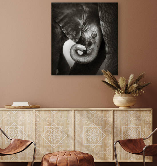 Baby elephant seeking comfort by Johan Swanepoel