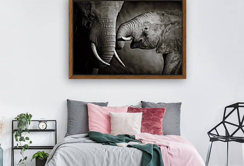 Elephant affection by Johan Swanepoel