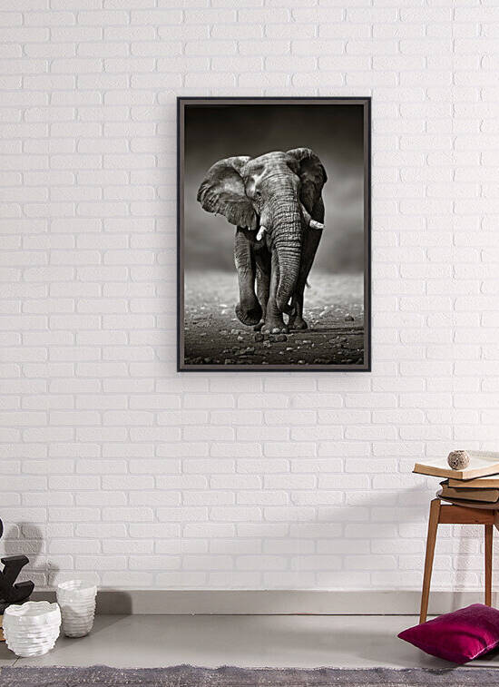 Elephant approach from the front by Johan Swanepoel