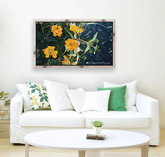 Yellow mellow  by Violet S Ramos