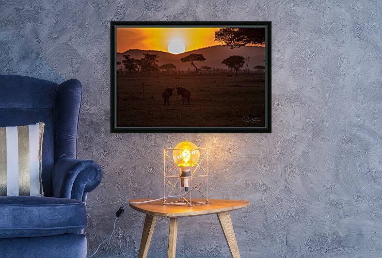 Gnous le matin by Sophie Thibault