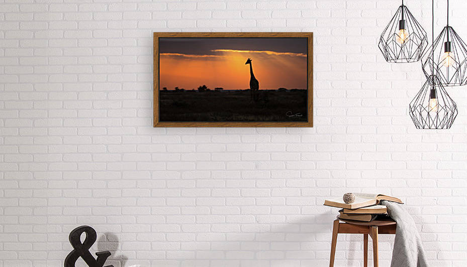 Profil haut by Sophie Thibault