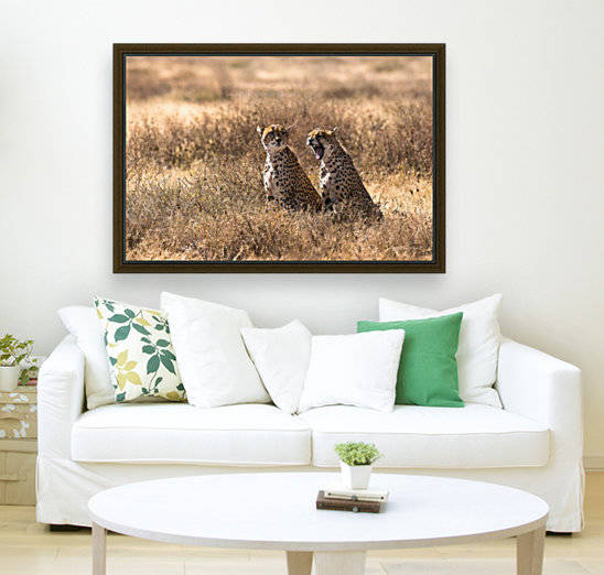 Grosse fatigue by Sophie Thibault