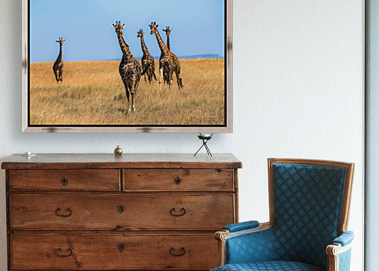 Sortie de famille by Sophie Thibault