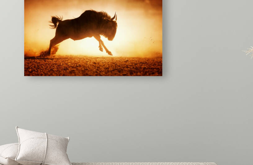 Blue wildebeest running in dust by Johan Swanepoel