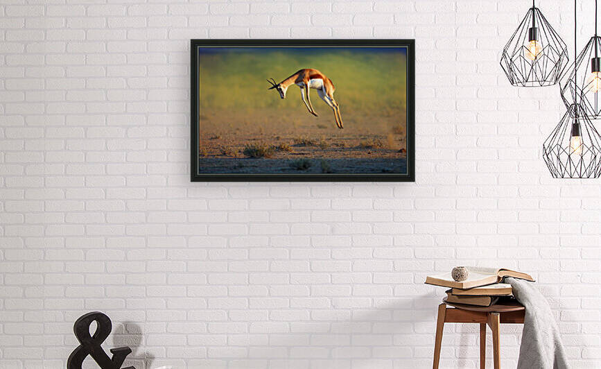 Running Springbok jumping high by Johan Swanepoel