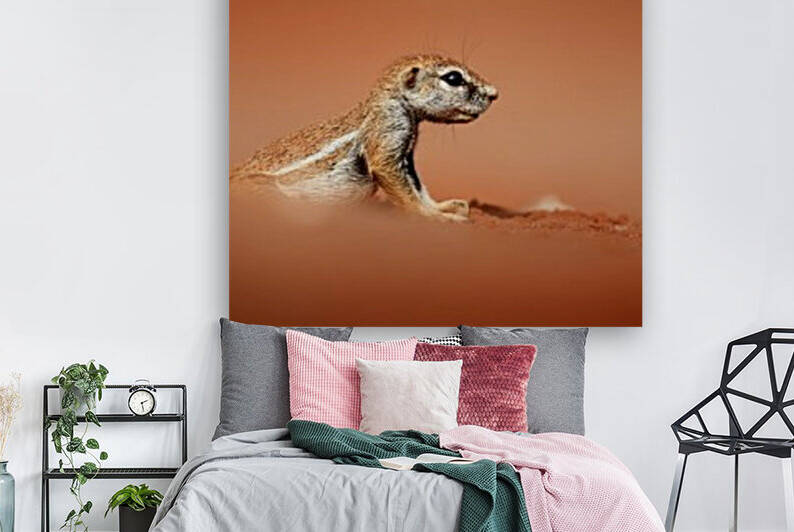 Ground squirrel on red desert sand by Johan Swanepoel