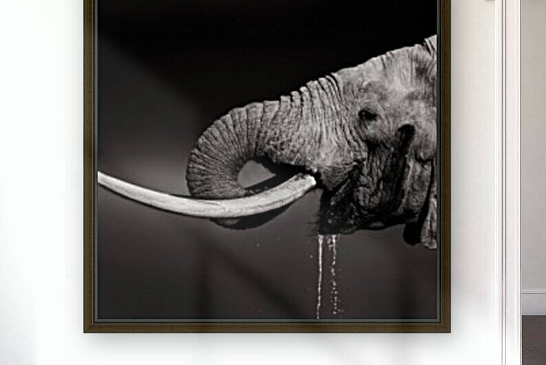 Elephant bull drinking water by Johan Swanepoel