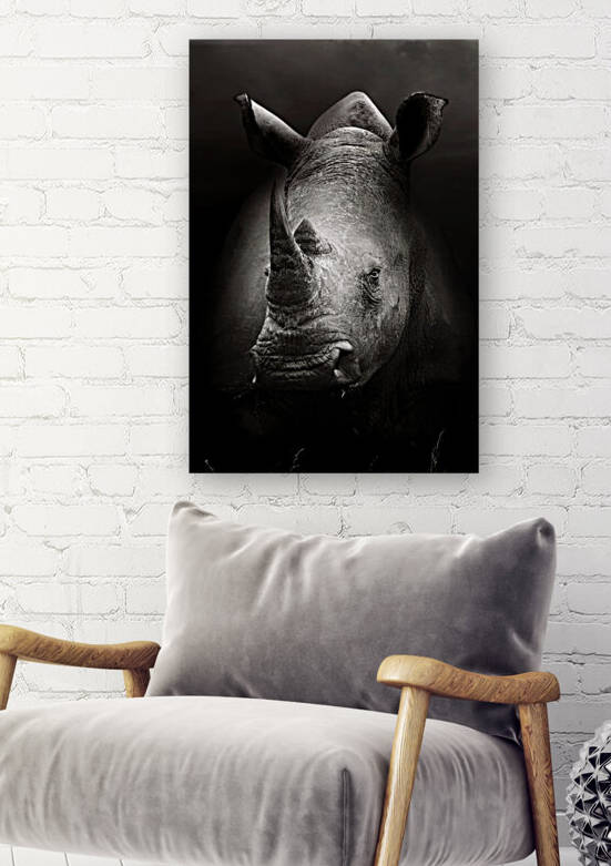 Rhinoceros portrait by Johan Swanepoel