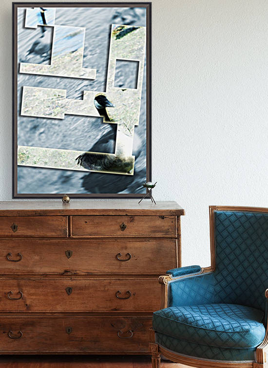 Bernache by Guy Charest