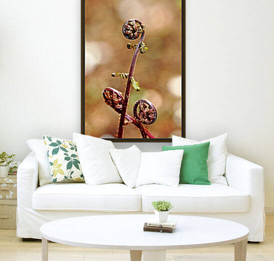 Lady Fern Spirals by Deb Oppermann