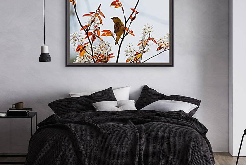 Yellow Warbler by Deb Oppermann