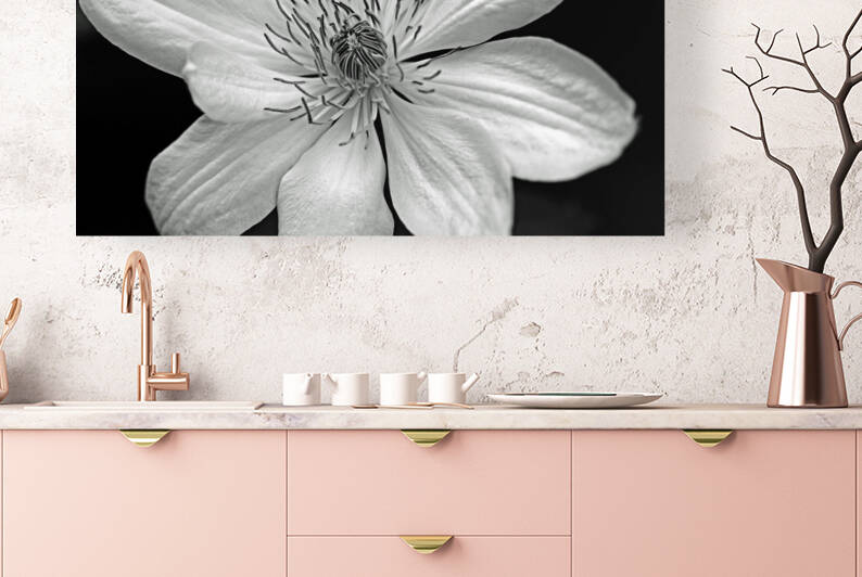 Clematis Black And White by Deb Oppermann