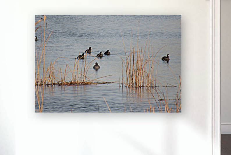 IMG_7824 by Liviu Sumanar