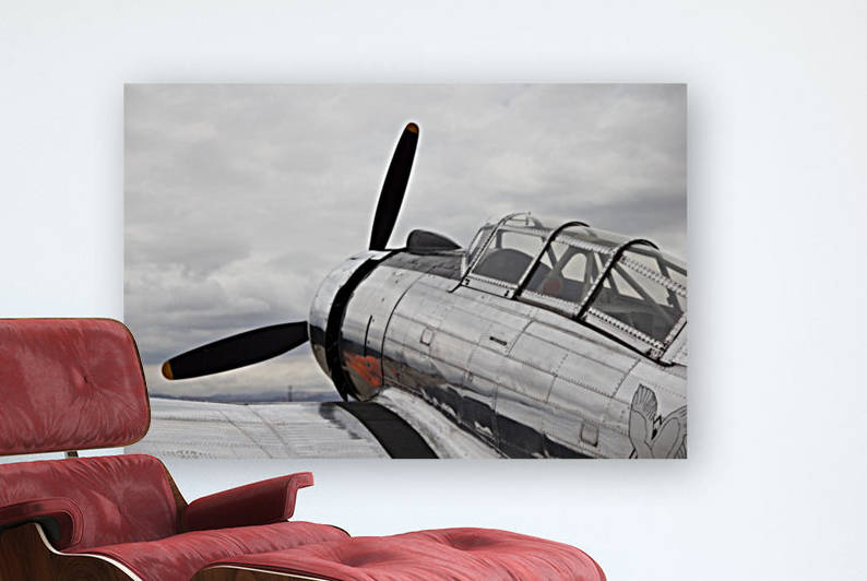 P-53 Nose by Wallshazam