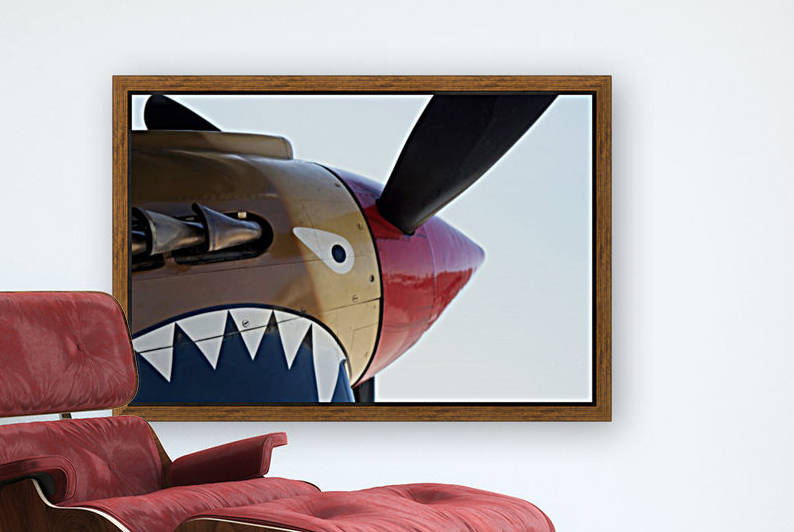 P-40 Warhawk Nose by Wallshazam