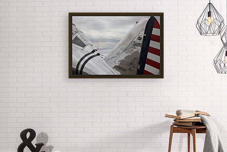 P-35 Back & Tail by Wallshazam