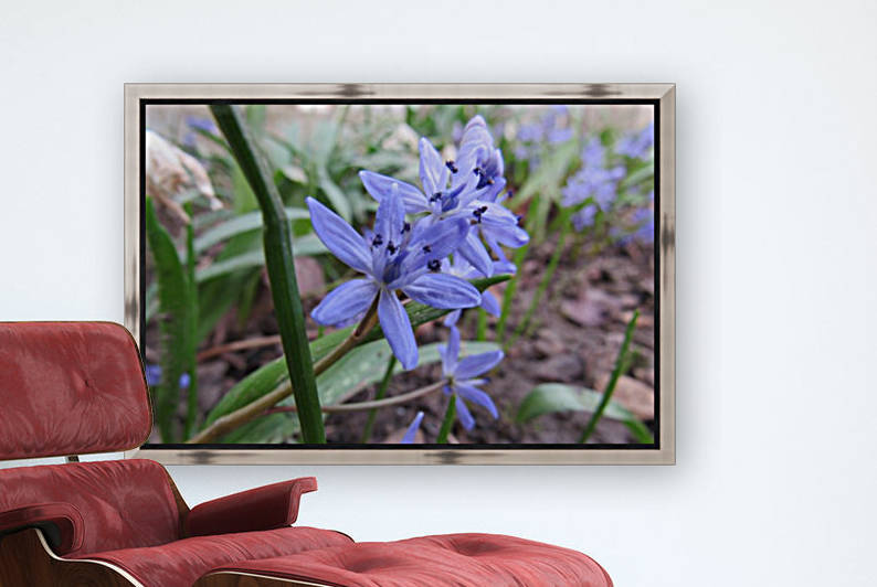 IMG_8643 by Liviu Sumanar