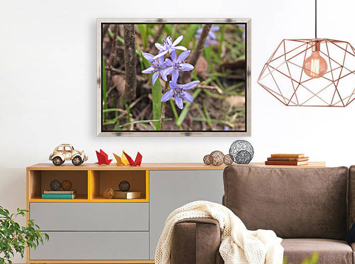 IMG_8656 by Liviu Sumanar