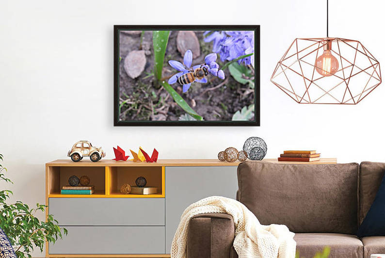 IMG_8651 by Liviu Sumanar