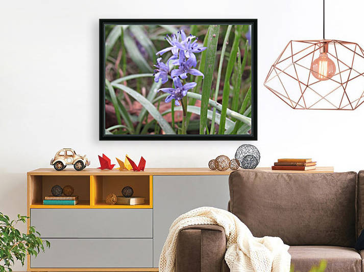 IMG_8668 by Liviu Sumanar