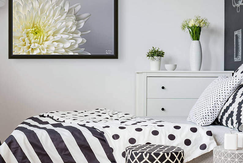 White Mum Flower by crystalfind