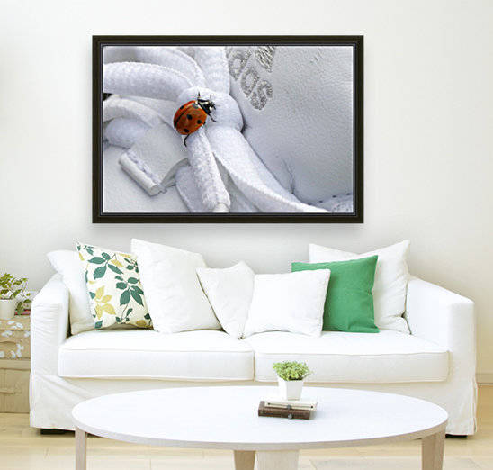 Ladybug by Maria Virginia Castro