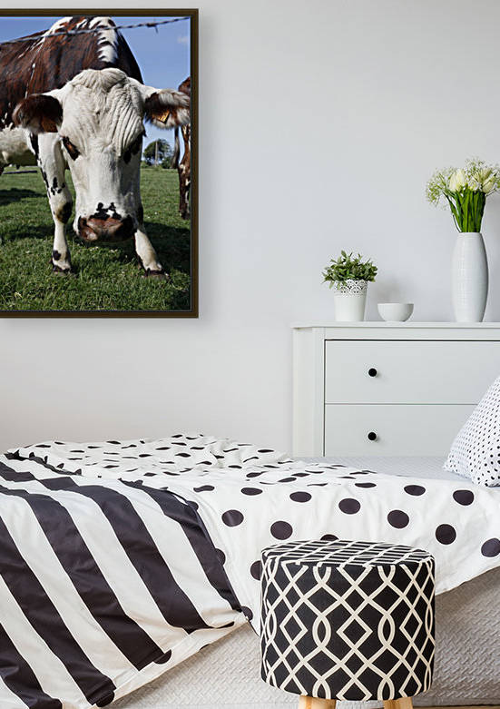 Cow by Maria Virginia Castro