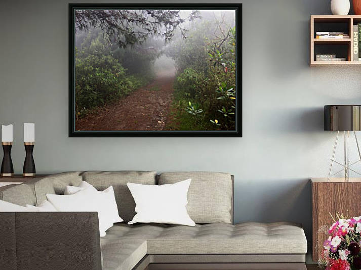 Where Gnomes Live by Maria Virginia Castro