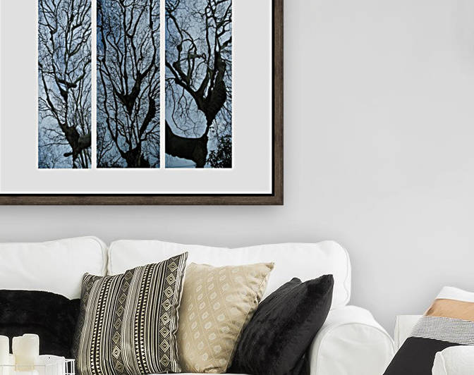 3 trees color  by Margaret Najder 