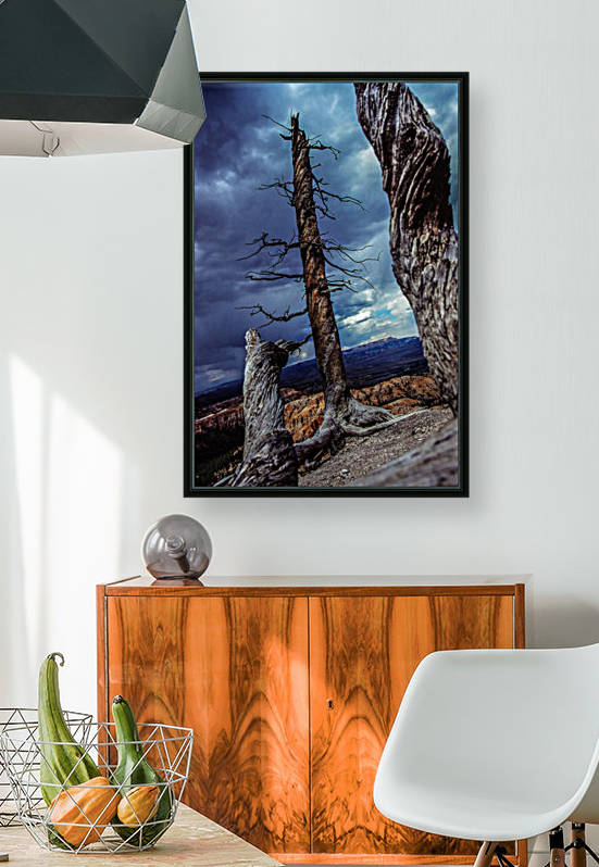 grand canion 3  by Margaret Najder 