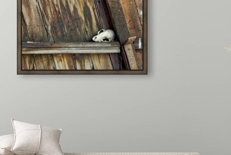 Bone and Wood by Michel Soucy