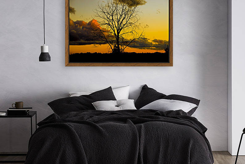 SUNSET AND TREE by Michael