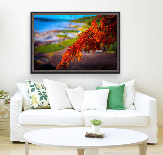 FALL RED MAPLE by Michael