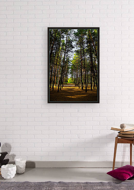 Bird Hill Manitoba  by Michael