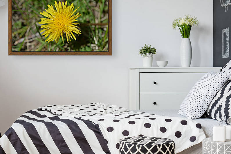 pétales3 by khalil merabet