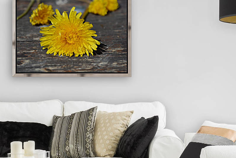 pétales2 by khalil merabet