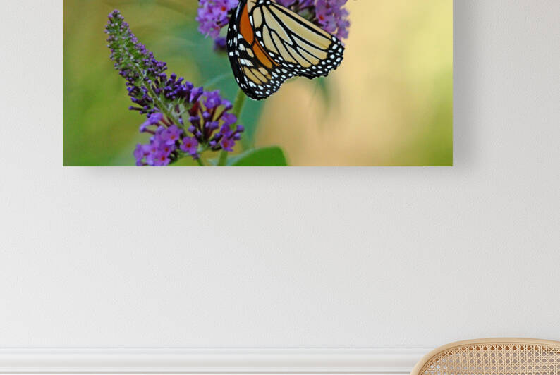 Sipping Nectar by Deb Oppermann