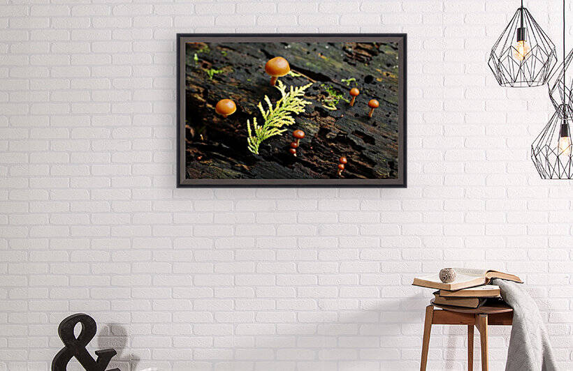 From The Damp And Dark by Deb Oppermann