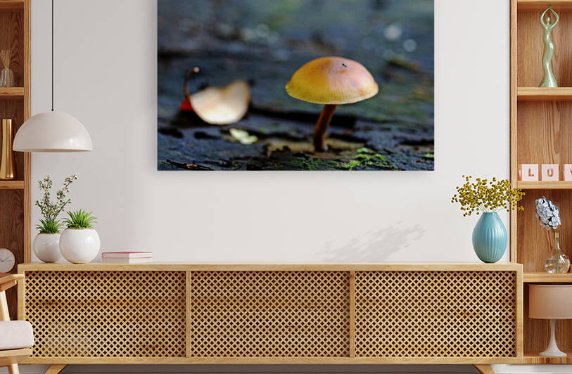 Tiny Mushroom by Deb Oppermann