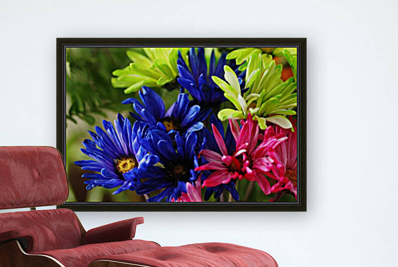 Vibrant Chrysanthemums by Deb Oppermann