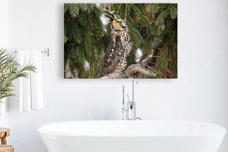 Not A Good Idea by Deb Oppermann