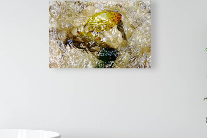 Caught On Rocks Damajagua River by Deb Oppermann