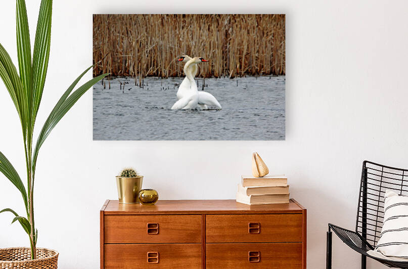 Double S Love by Deb Oppermann