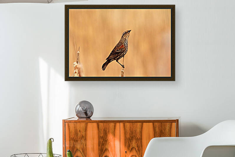 Queen Of The Pond by Deb Oppermann