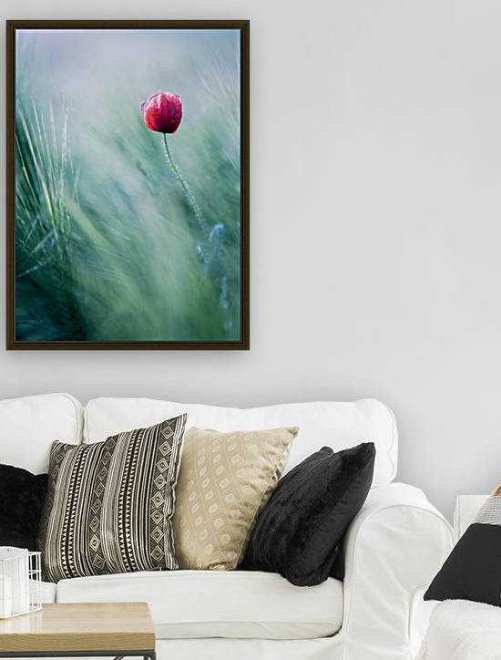 Lost in Paradise ... by Mélodie Schaeffer