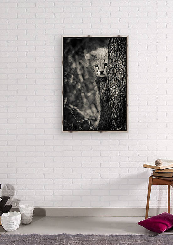 Shy but Curious by JADUPONT PHOTO