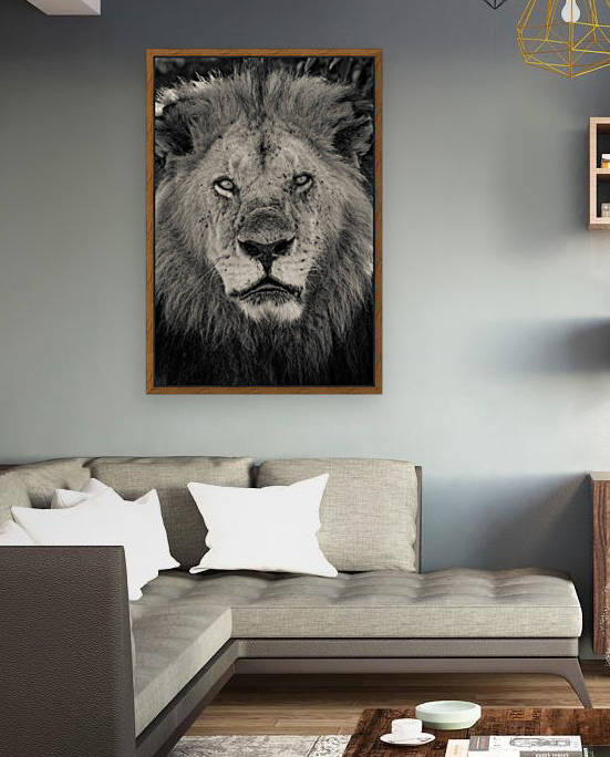 The King of South Africa - 2 by JADUPONT PHOTO